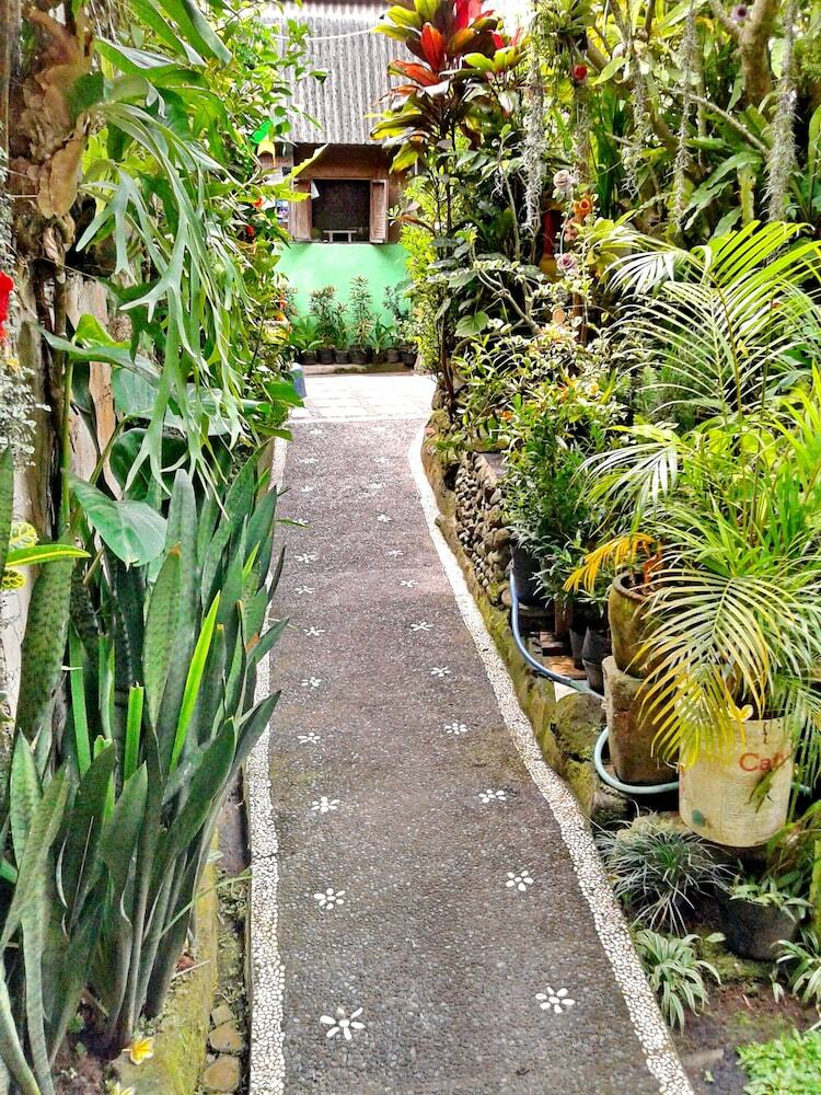 Hotel Arjuna Homestay Ubud