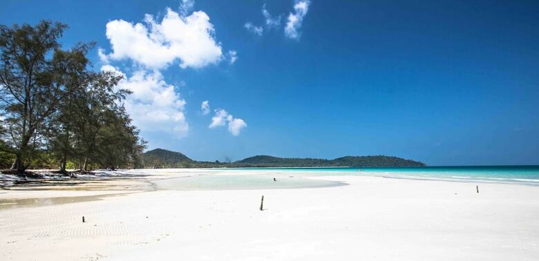 Hostal Nest Beach Club - Hostel