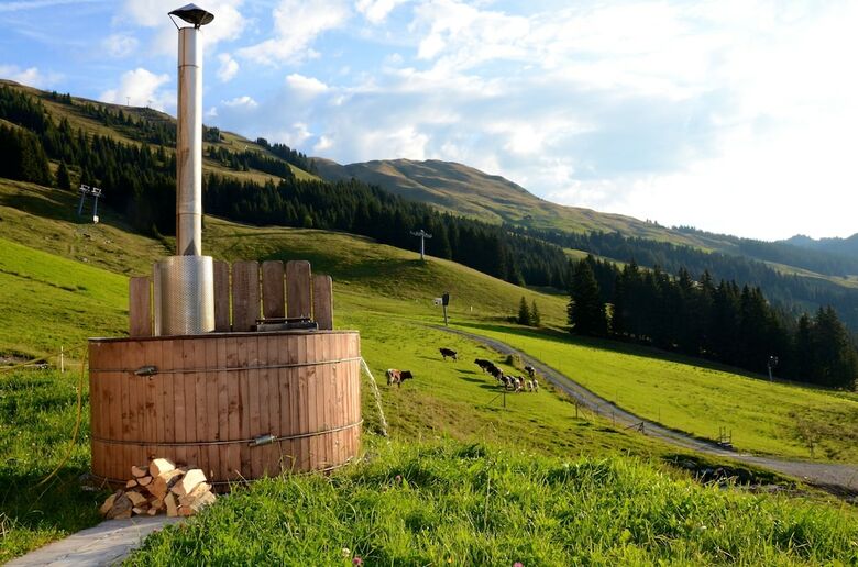 Alpine Premium Chalet Wallegg-lodge