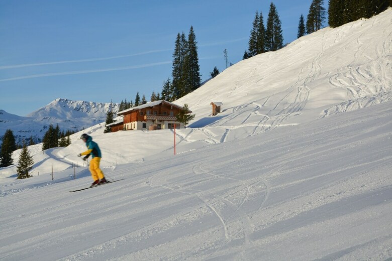 Alpine Premium Chalet Wallegg-lodge