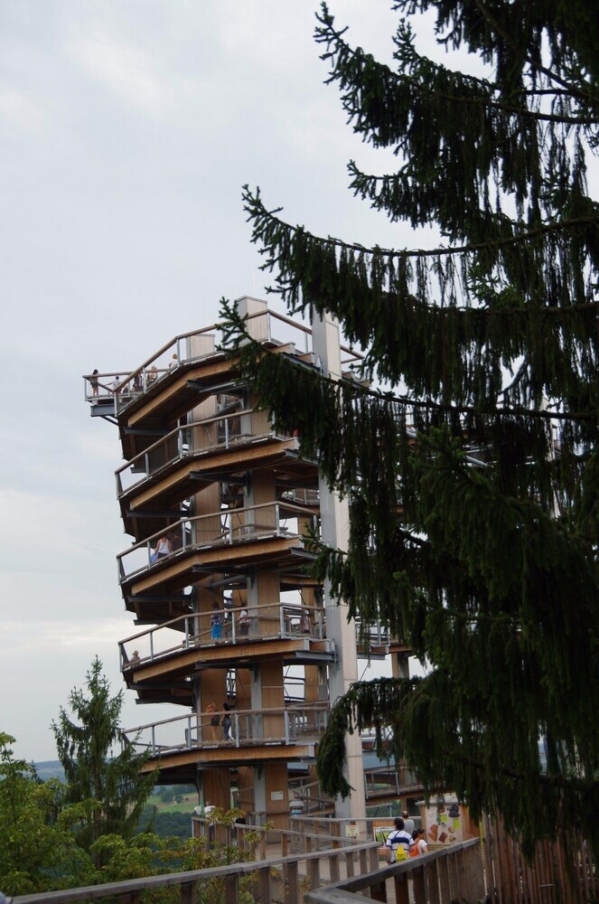 Bed & Breakfast Les Myosotis - Chambres D'h�tes