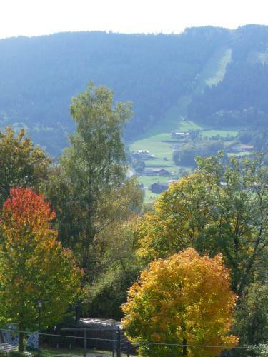 Hostal Waldpension