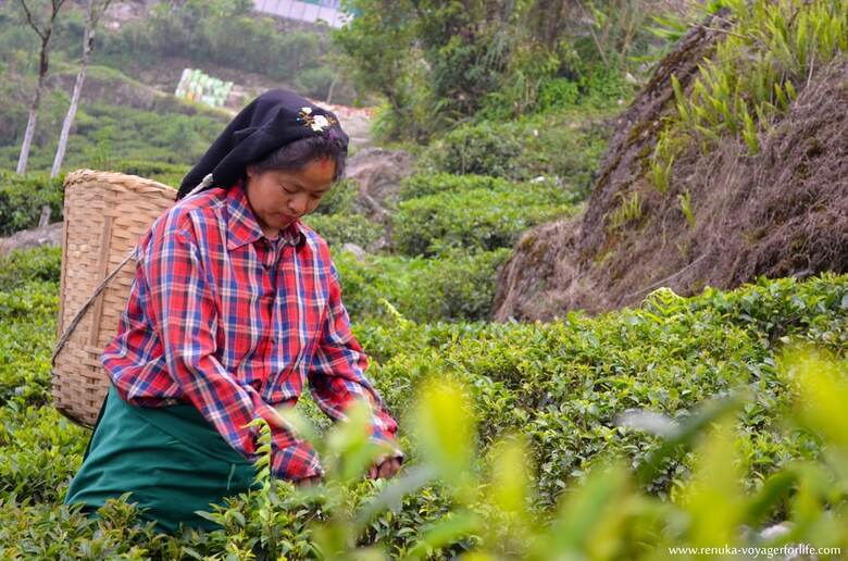 Hotel Goomtee Tea Garden Retreat