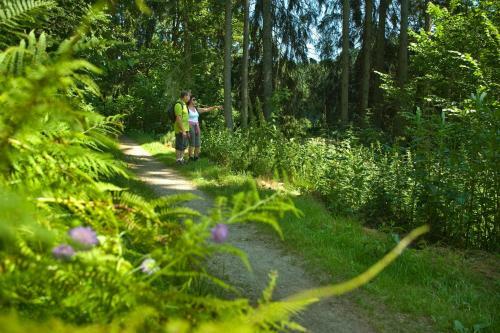 Hostal Pension Bergstub`n