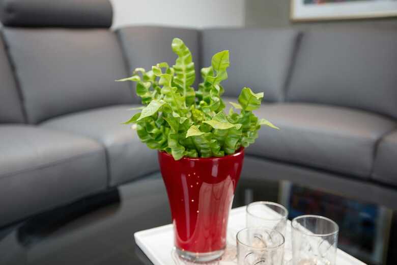 Visithomes T�rshavn Apart Hotel