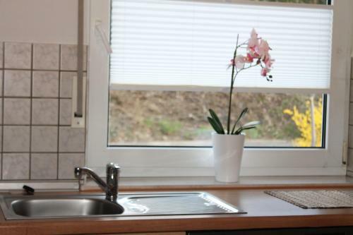 Apartamento Haus Flora (Ferienwohnungen)