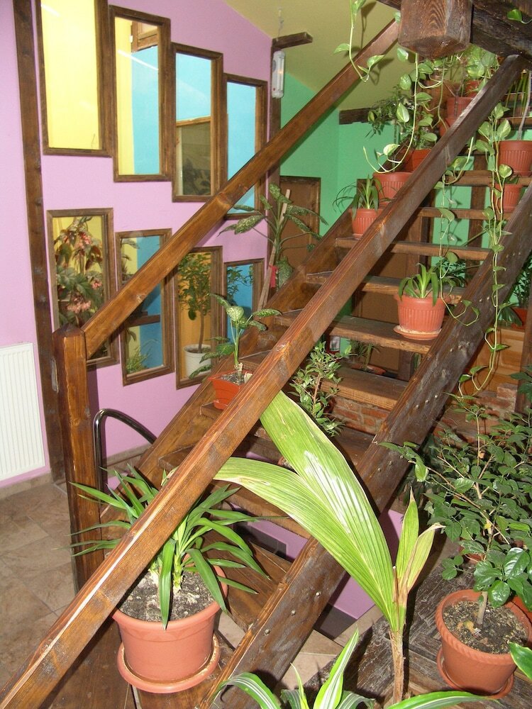 Hotel Pensiunea Flamingo
