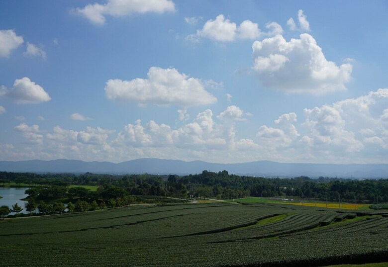 Hotel Singha Park Chiang Rai Camping