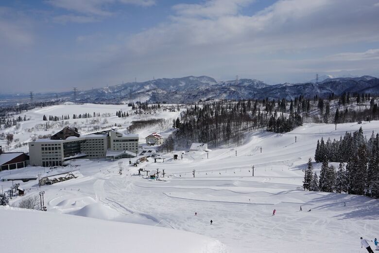 Hotel New Greenpia Tsunan