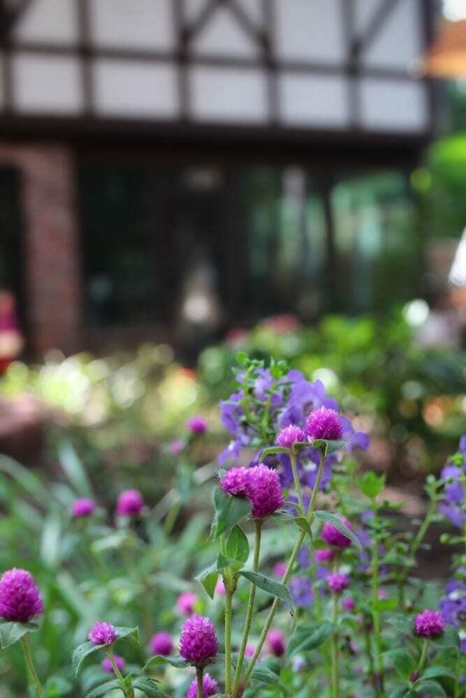 Bed & Breakfast Tudor Oaks Inn