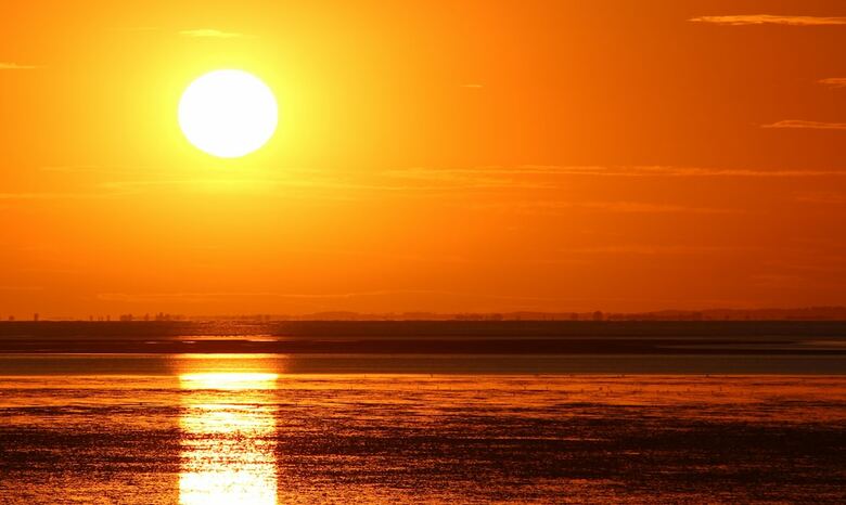 Norfolk Coast B&B Cottages And Camping