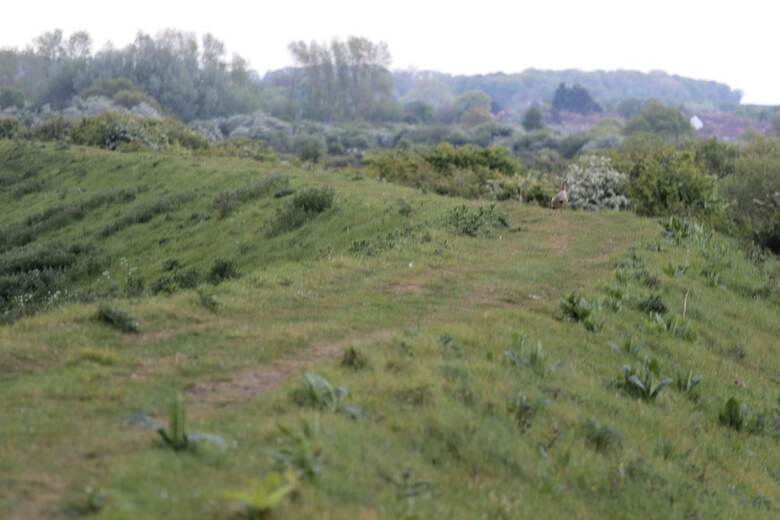 Norfolk Coast B&B Cottages And Camping