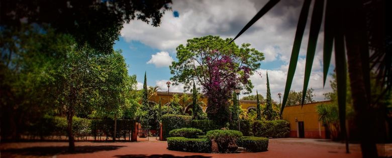 Agroturismo Ex Hacienda Ca�ada De Negros
