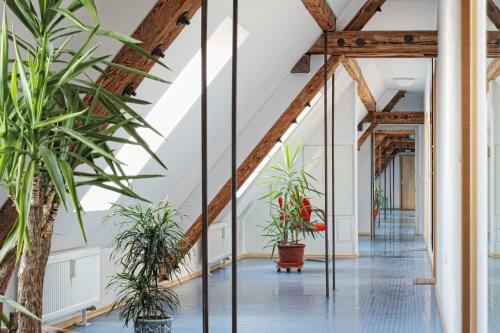 Milchhof Apartments Aschaffenburg