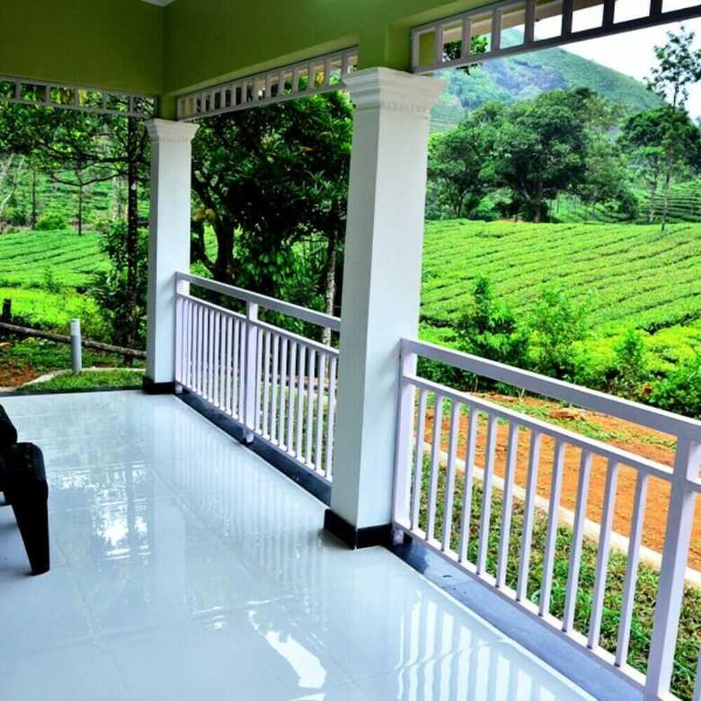 Hotel Lavender