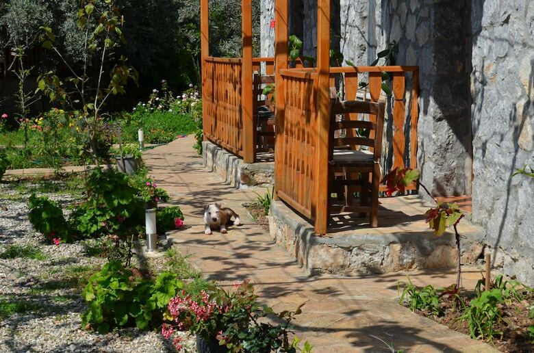 Bed & Breakfast Faralya Limon Hotel