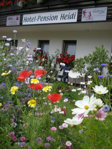 Hostal Hotel Pension Heidi
