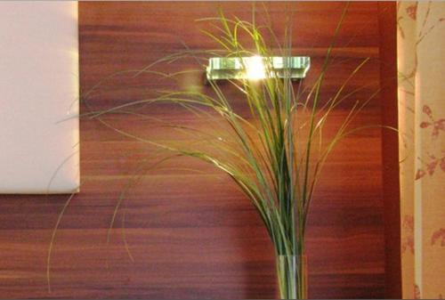 Hotel Zum Schwanen