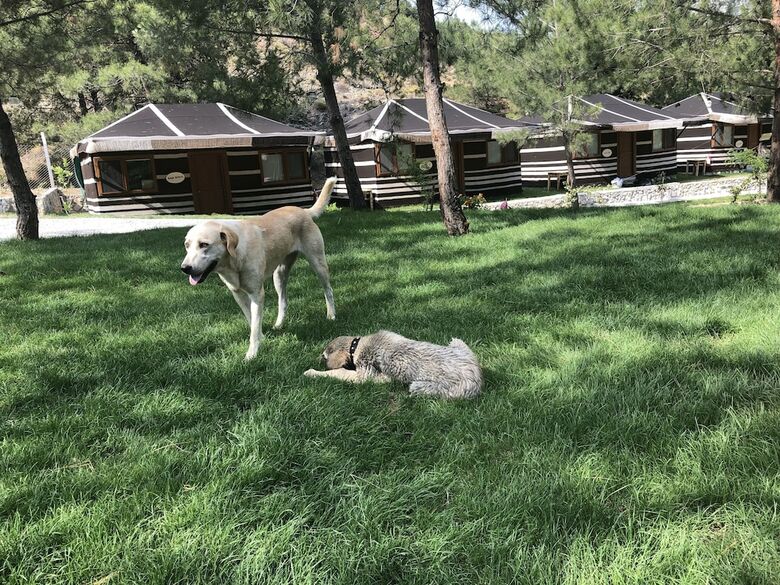 Hotel Durusu Ciftlik Evleri