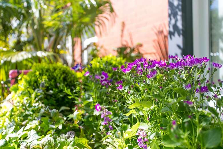 The Rosebery Boutique Hotel