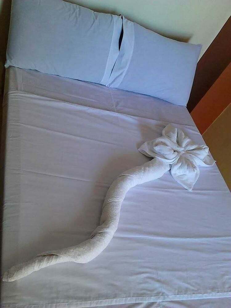 Hotel N & F Guest House
