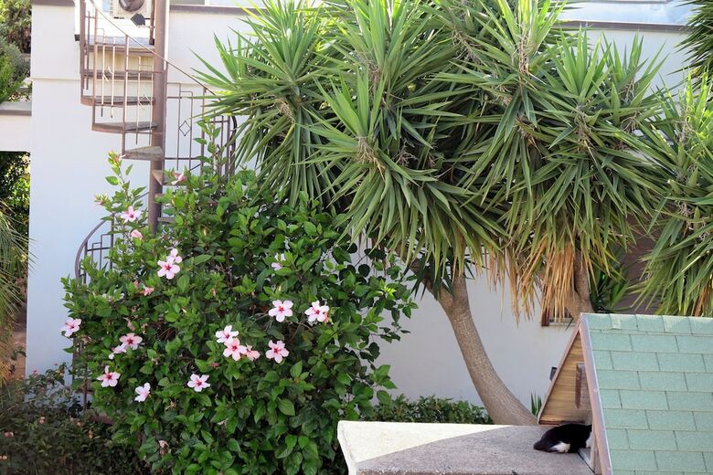 Apartamento Casa Floriana A San Leone