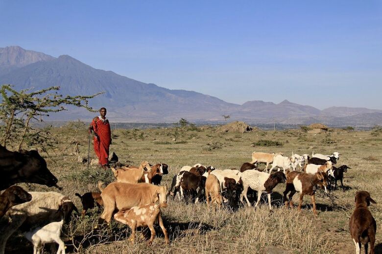 Posada Osiligilai Maasai Lodge