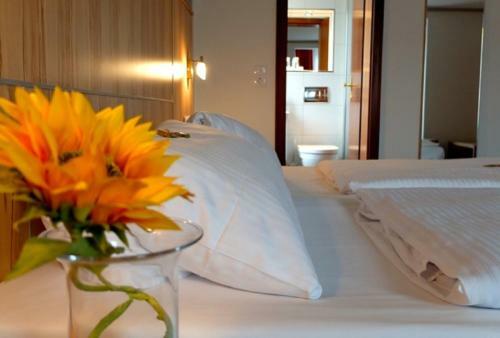 Hotel Am Schelztor