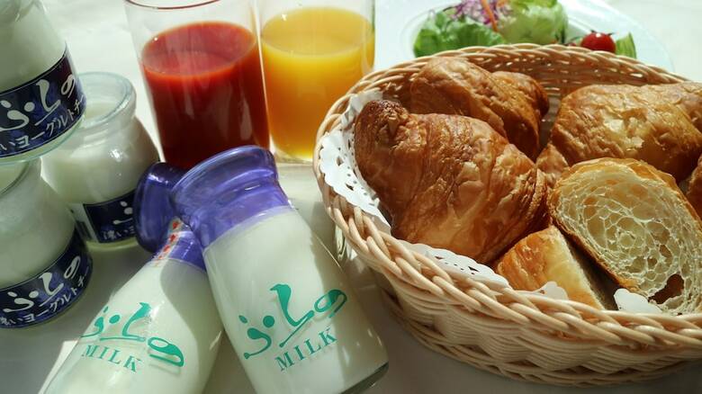 Shin Furano Prince Hotel