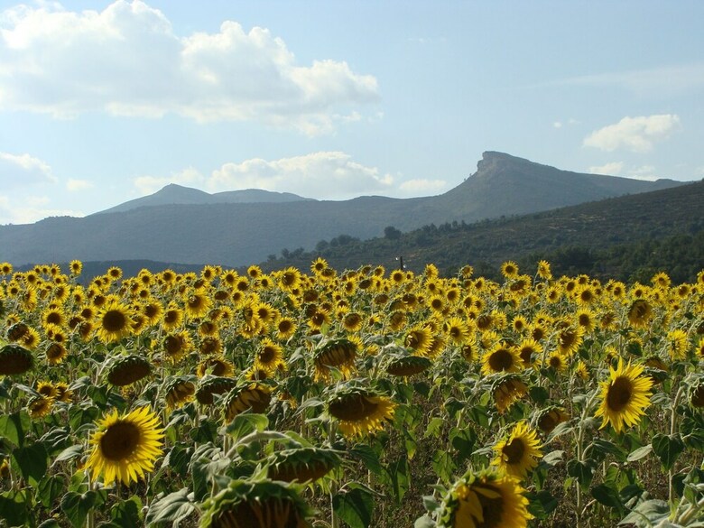 Bed & Breakfast Casa El Condor