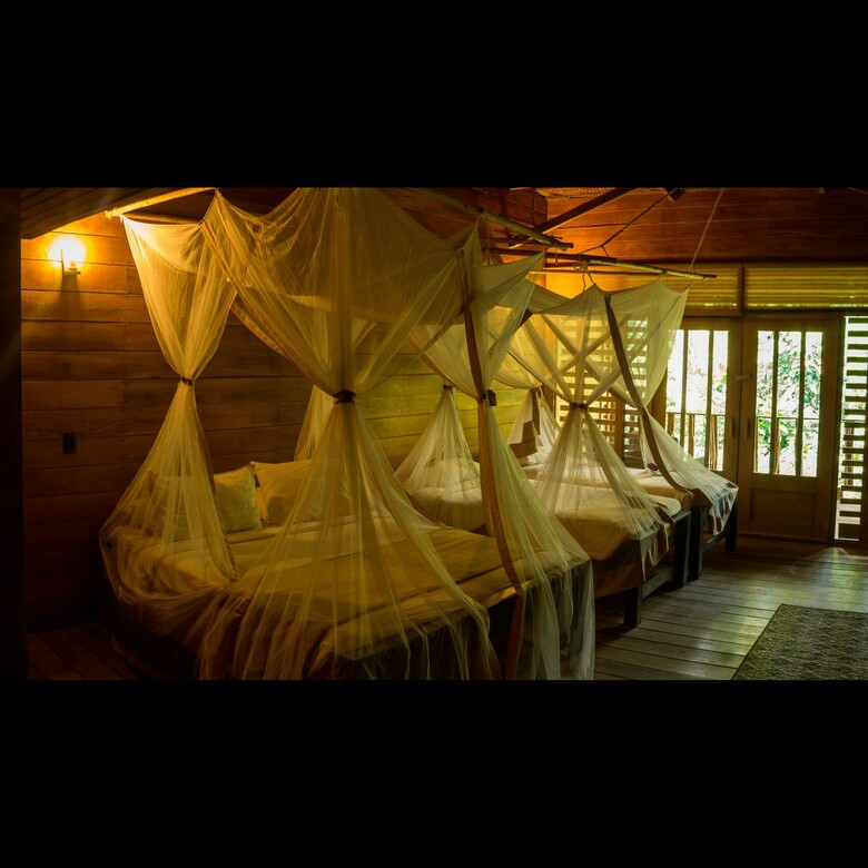 Hotel On Vacation Amazon All Inclusive