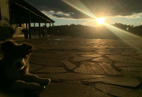 Lodge Pousada Chal�s Alternativa