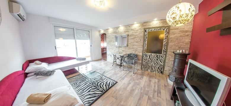 Studio Apartment Zebra