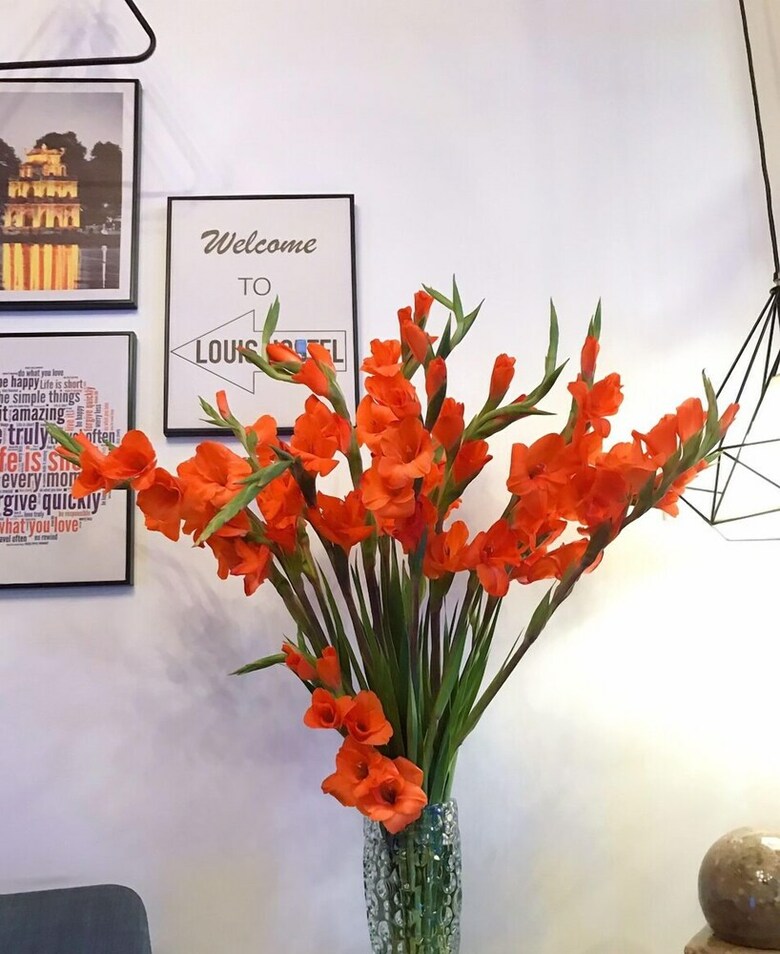 Louis Hotel - Bui Vien Walking Street