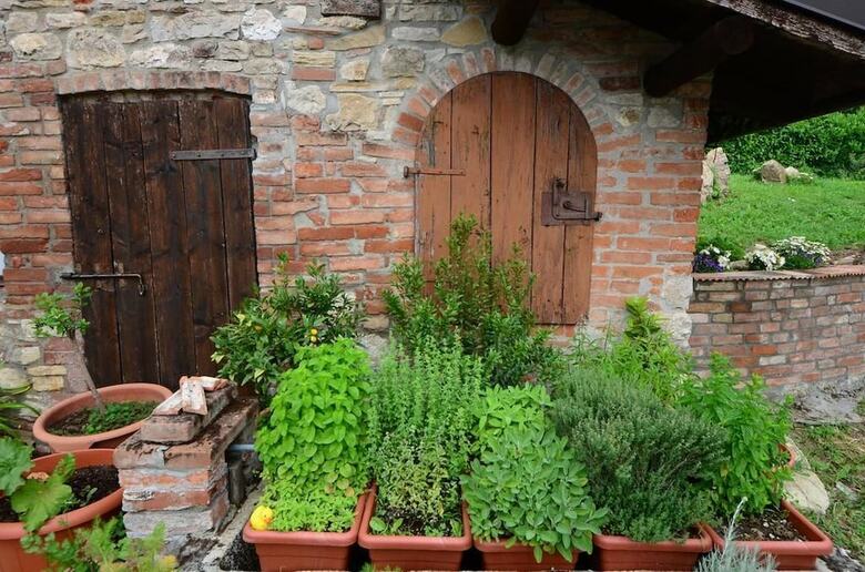 Agriturismo Agronauta