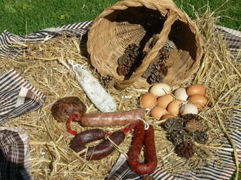 Agroturismo Mas D'arav�