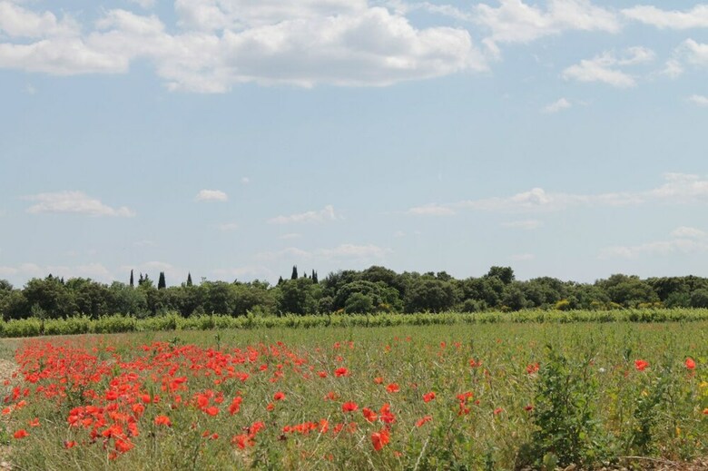 Bed & Breakfast Chambre D'h�tes Le Mas de La Seuve
