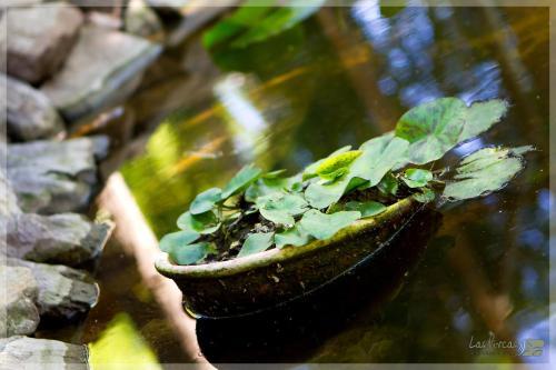 Lodge Caba�as Y Spa Las Pircas