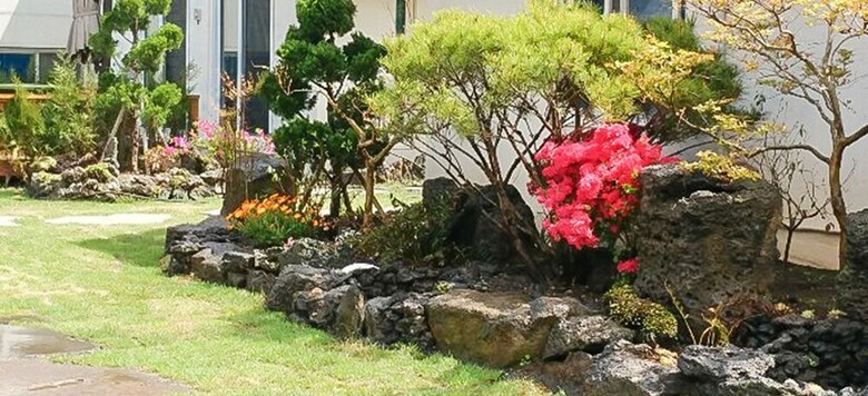 Pension Forest Bandi