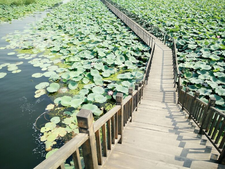 Hotel Baiyangdian Xinzhi Guesthouse