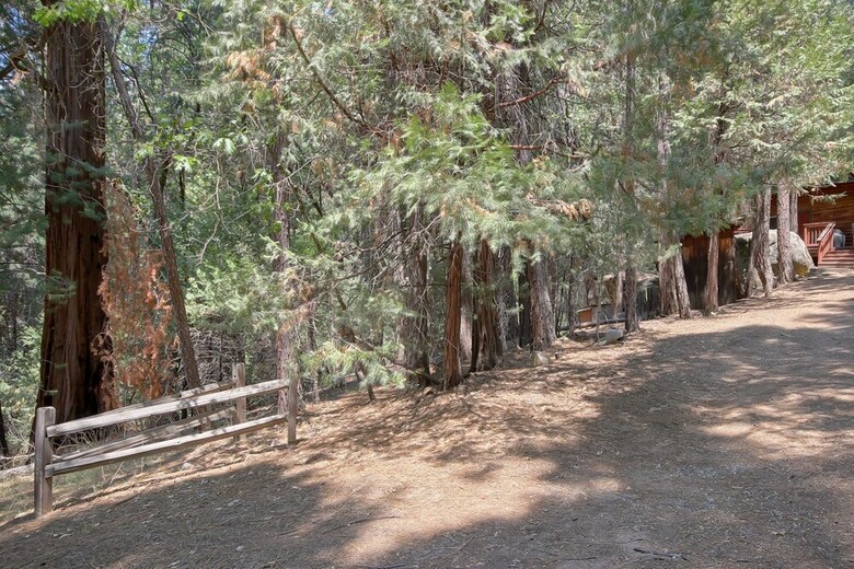 The Tree House
