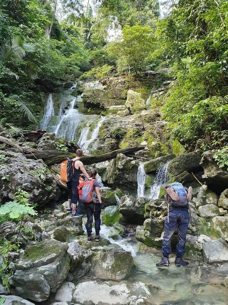Hotel Golden Forest Homestay