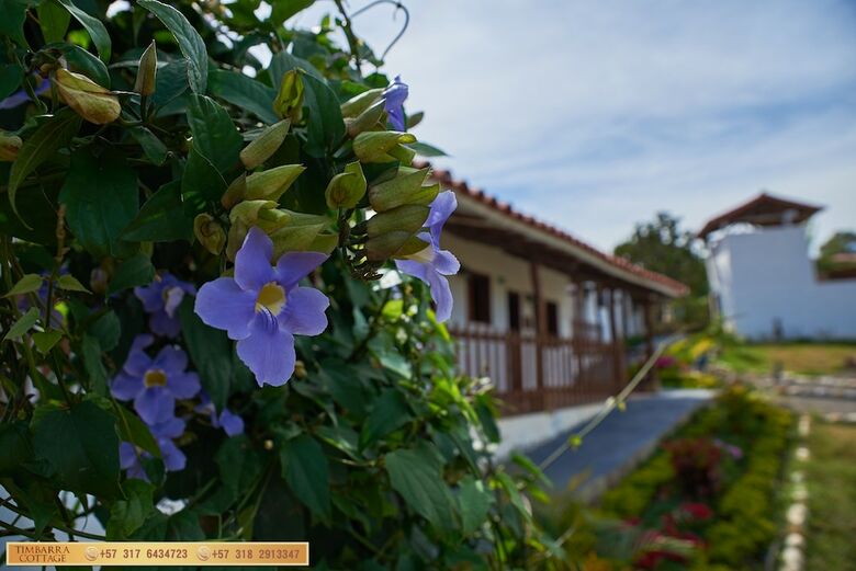 Timbarra Cottage