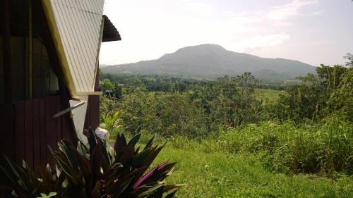 Bed & Breakfast Real Dominican Republic Discovery