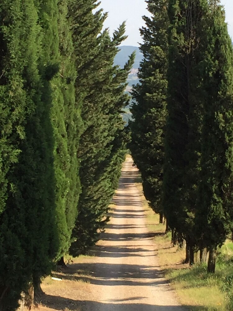 Agroturismo Poggio Corsucci