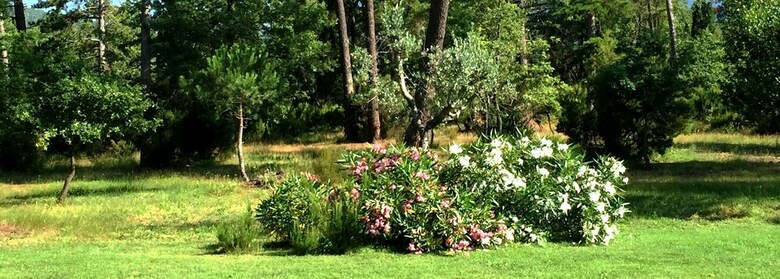 Agroturismo Poggio Corsucci