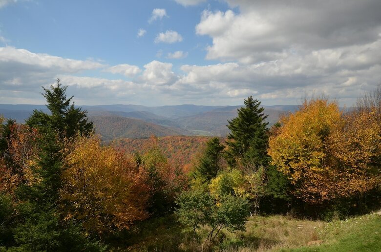 3 Br: Summit 205 C