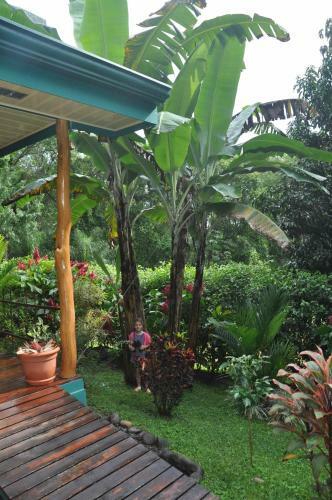 Bed & Breakfast Tiriguro Lodge
