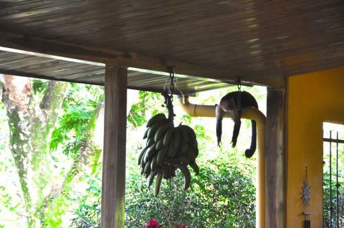 Bed & Breakfast Tiriguro Lodge