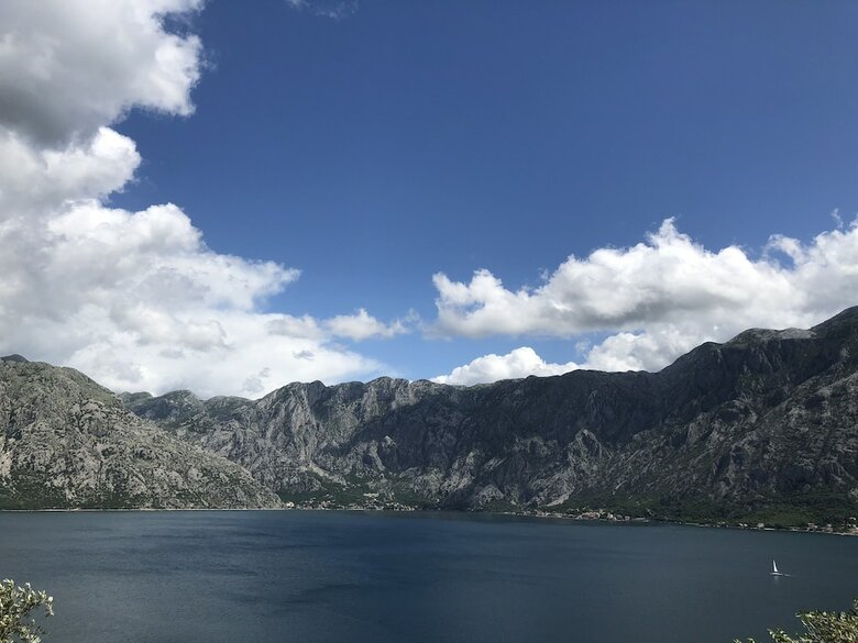 Sarenagomila